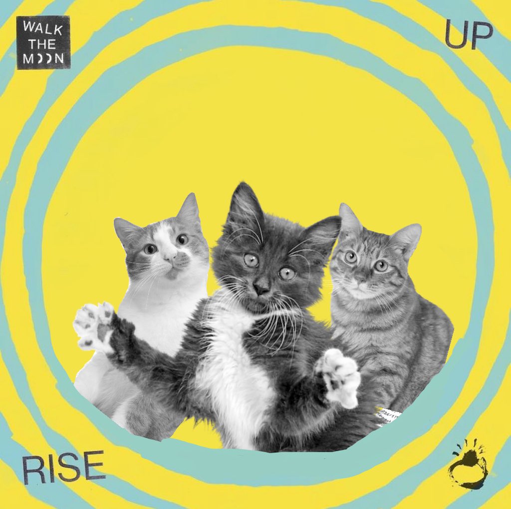 WALK THE MOON as cats tweet media