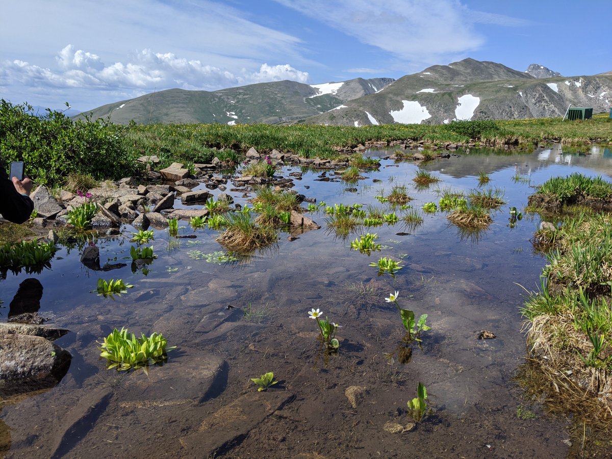 Center for Sustainable Landscapes and Communities tweet media