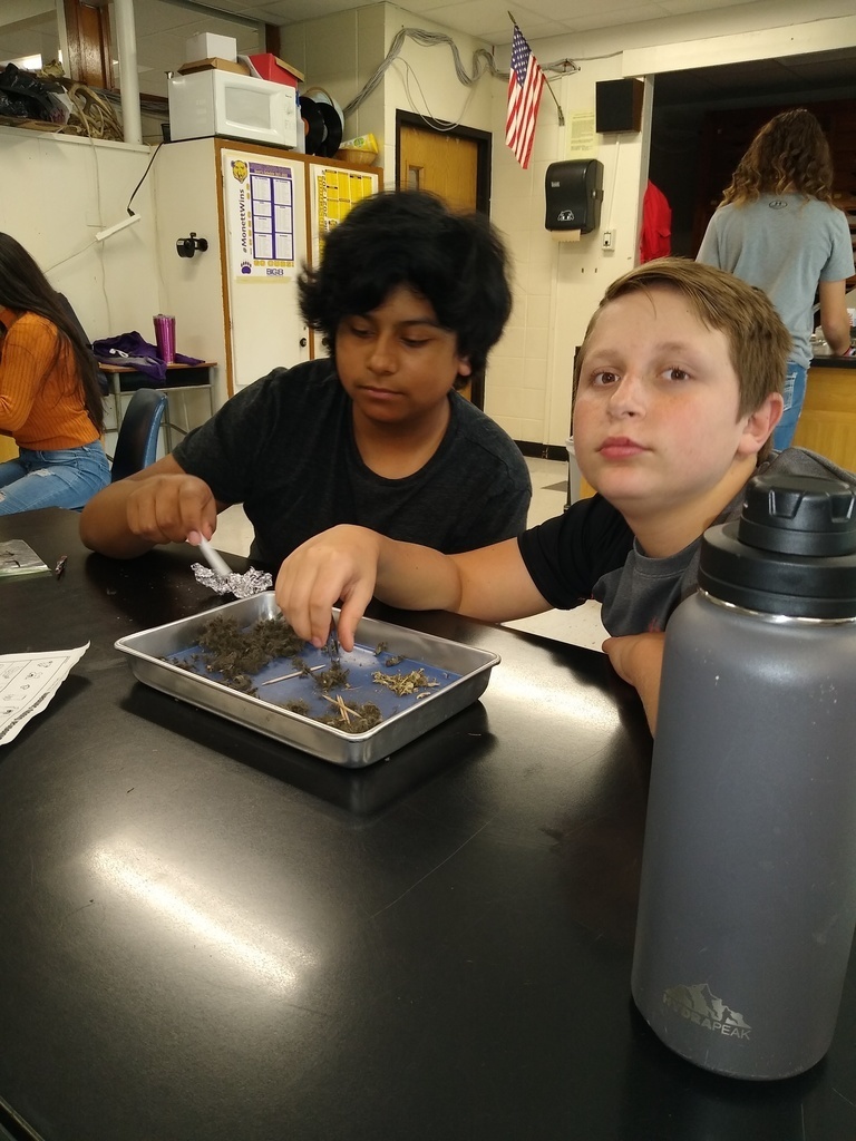 cpemonett's tweet photo. Students in Mr. Stokes' 8th grade Science class dissected owl pellets. Students gently pulled the owl pallets apart and analyzed the bones. https://t.co/cPoboMq954