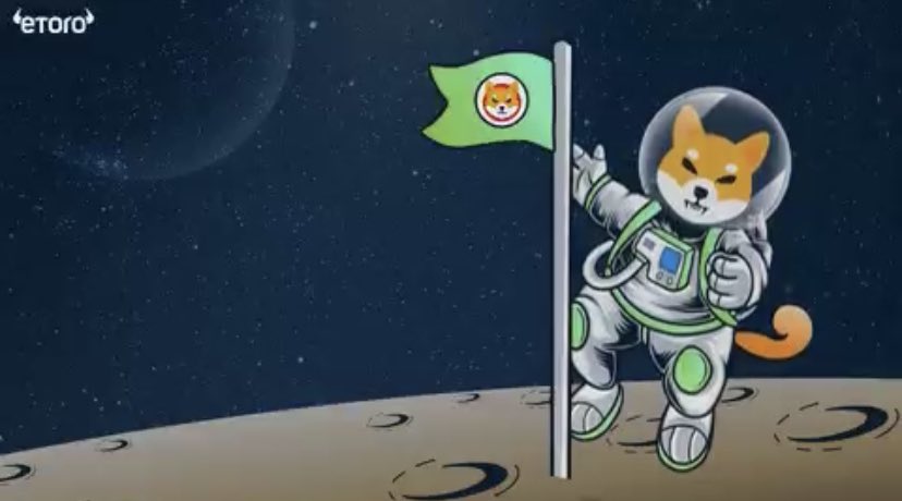 byrdmanryan's tweet photo. #SHIB #SHIBARMY #HOLD https://t.co/jylksomFuv