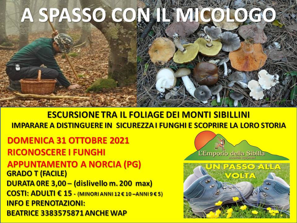 Sibillini Trekking (@sibillinitrek) on Twitter photo 