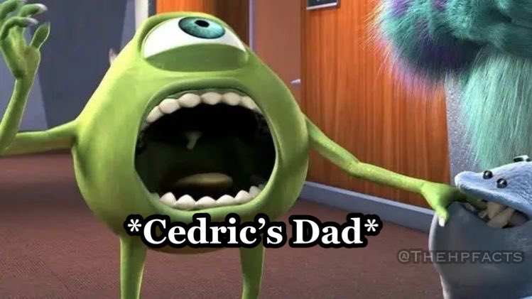TheHPfacts's tweet photo. *cedric dies* https://t.co/n2OEjBstyP