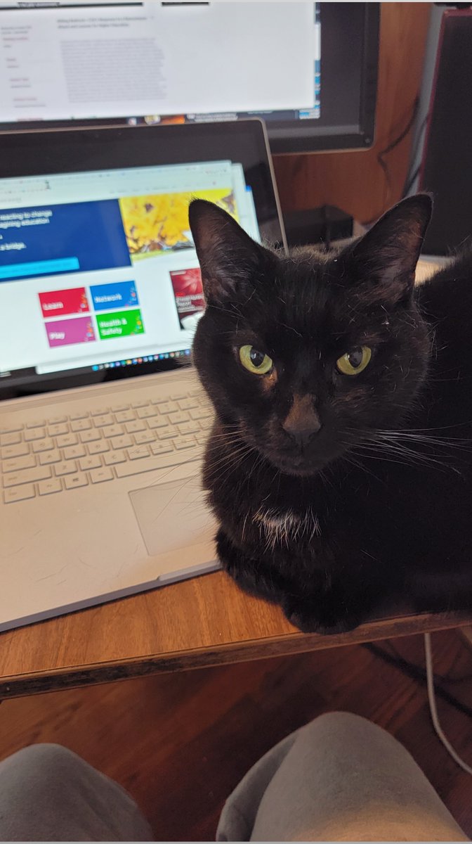 Mike Richichi tweet media