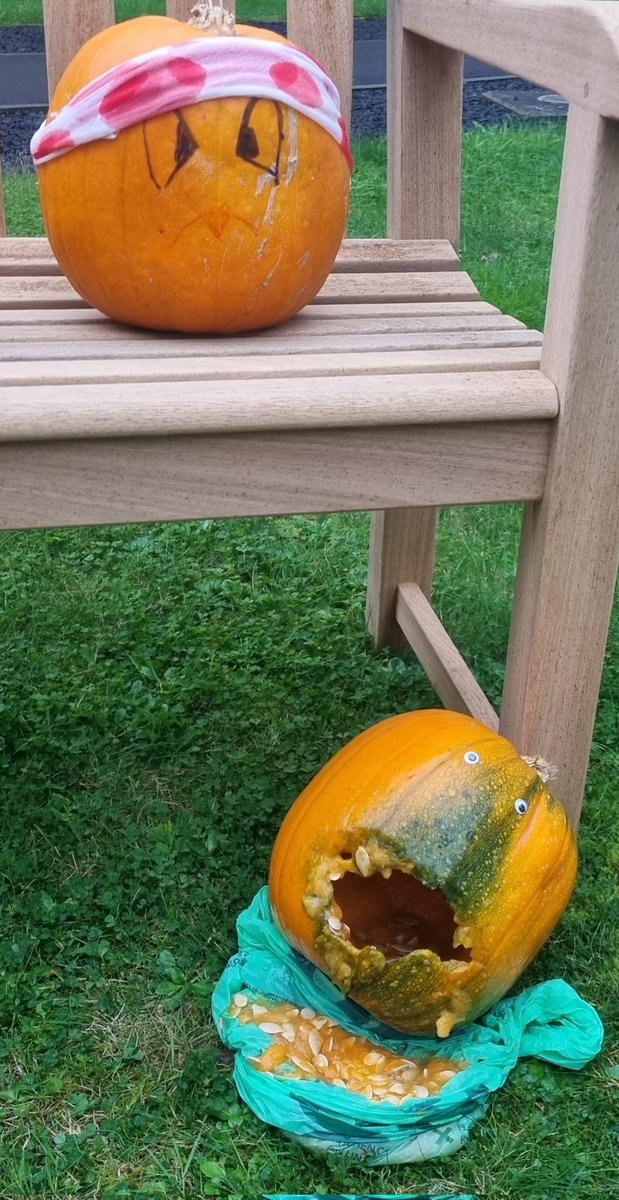 Zeus836's tweet photo. Oh no!😱 Miss Fallicity Pumpkin has had an unwitnessed inpatient fall!🎃 Remember to record GCS using NEWS 2 chart. Watch out for any signs of repeat vomiting🤢, signs of brusing, severe or persistent headache &amp; treat minor wounds like her friend Mr Jack Hollow😉🧡 https://t.co/2weYjx63tC