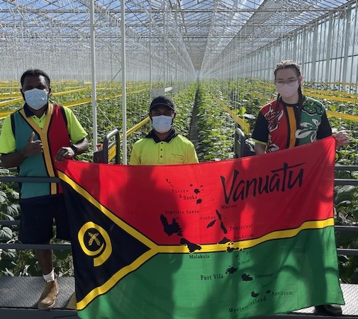 hortidaily's tweet image. "Labor seems to be one of the most important challenges all growers face"
hortidaily.com/article/936623…