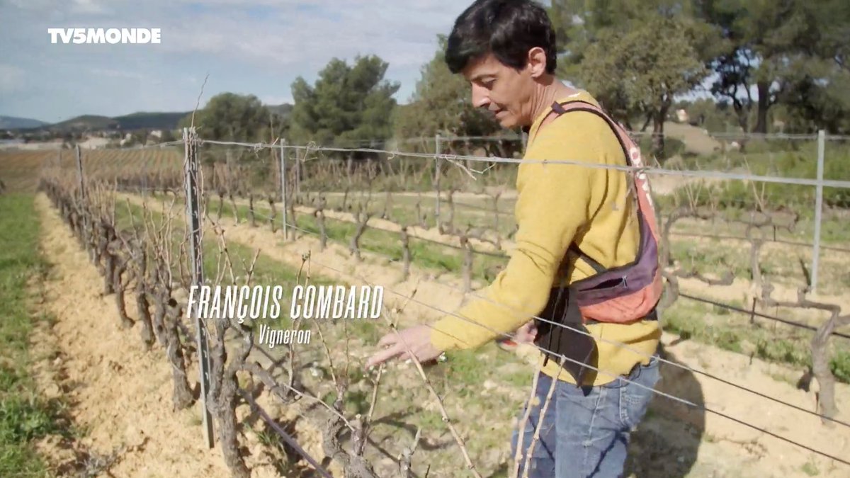 👍🏻 Le patrimoine et la gastronomie de <a href="/villelalonde83/">villedelalondelesmaures</a> s'exportent dans le monde entier ! 
📺 <a href="/TV5MONDE/">TV5MONDE</a> et le <a href="/ChefGuyMartin/">Chef Guy Martin</a>, proposent une émission entièrement tournée à La Londe à retrouver en intégralité sur : 
📌swll.to/epiceriefineTV5
#agrumes #vignes #olives #patrimoine