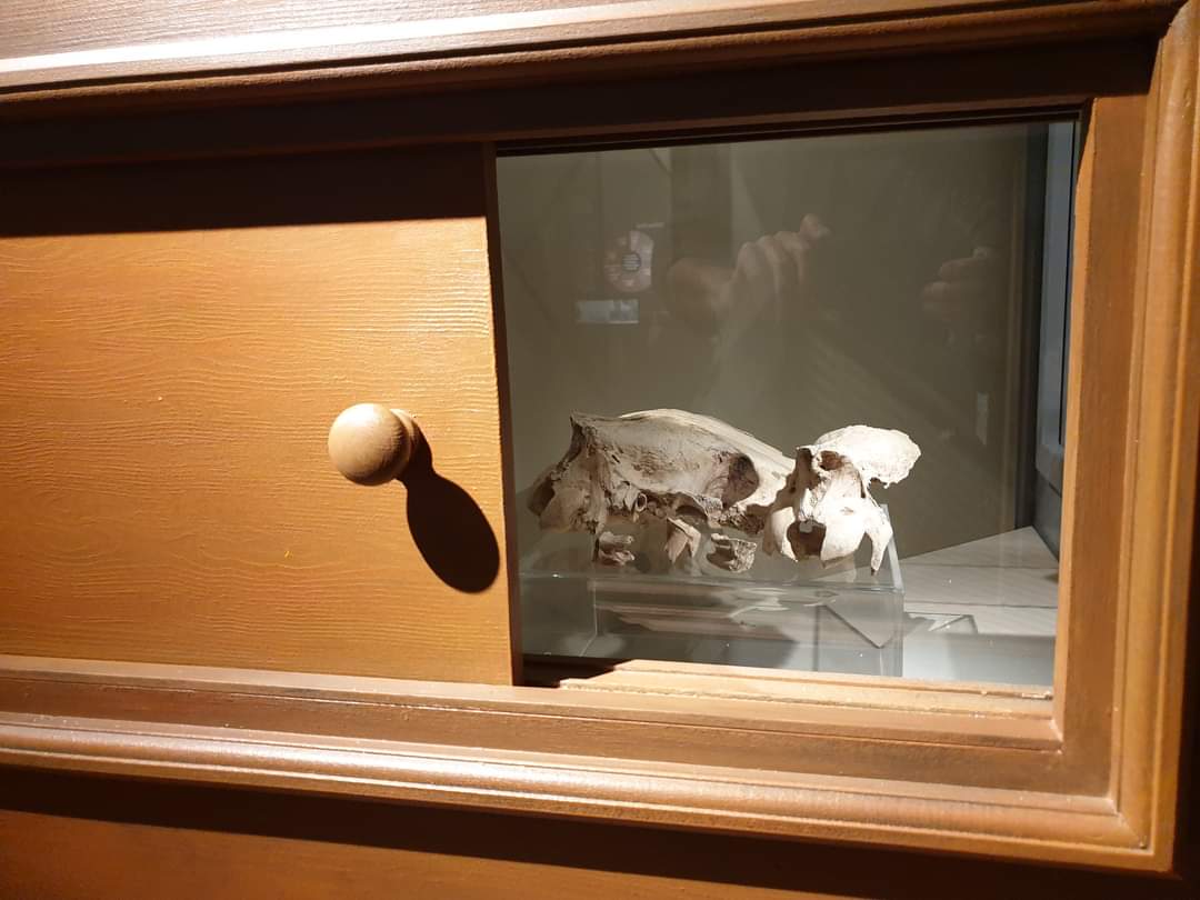 Tipperary Museum of Hidden History tweet media