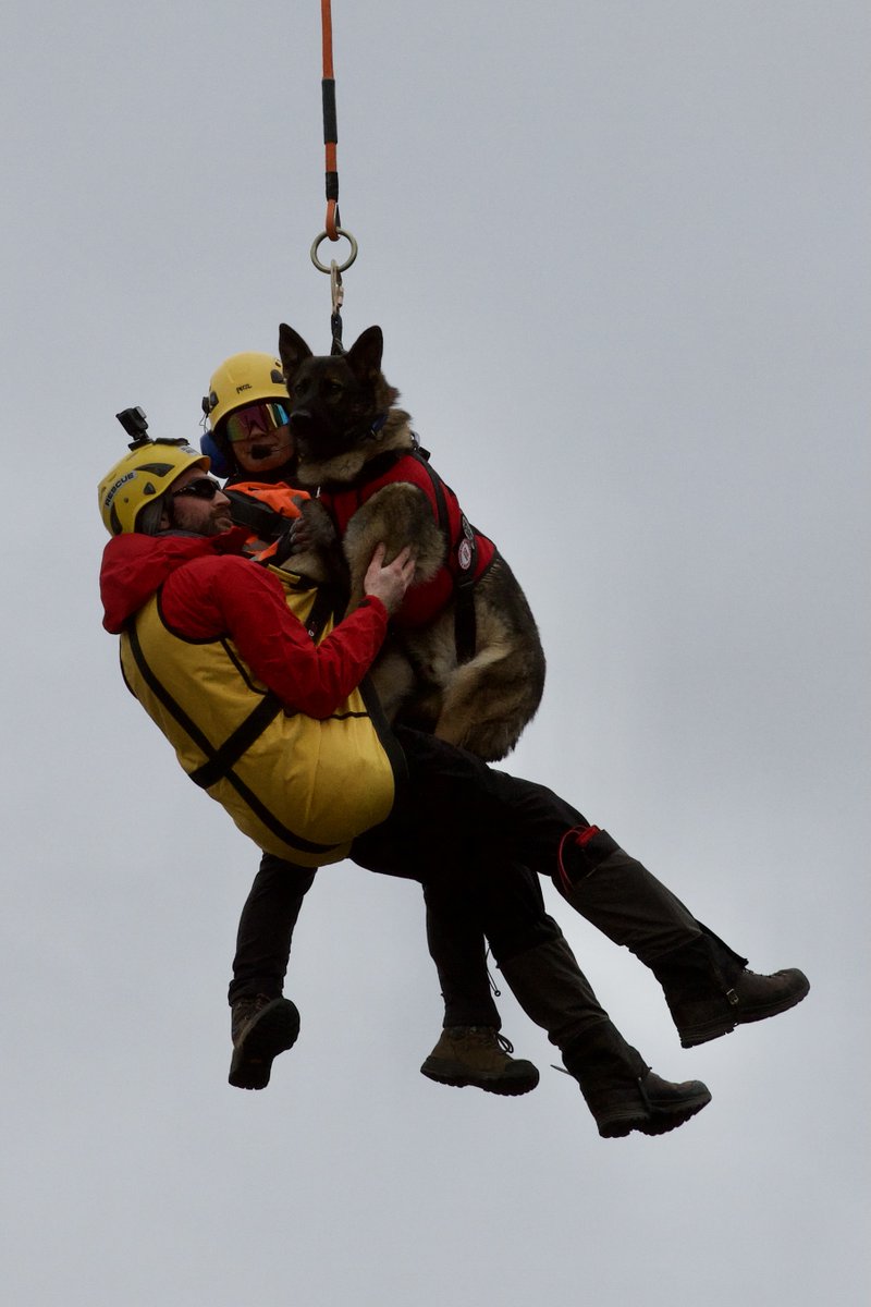 Neiko (in his custom @k9storminc SAR Vest) and and I getting some training time in on the long line with @PentictonSAR HETS tec at the recent BC Search Dog Association fall camp. PC: @Jtok11 
#outdoorlawyers #adventurelawyers #SAR #SARK9