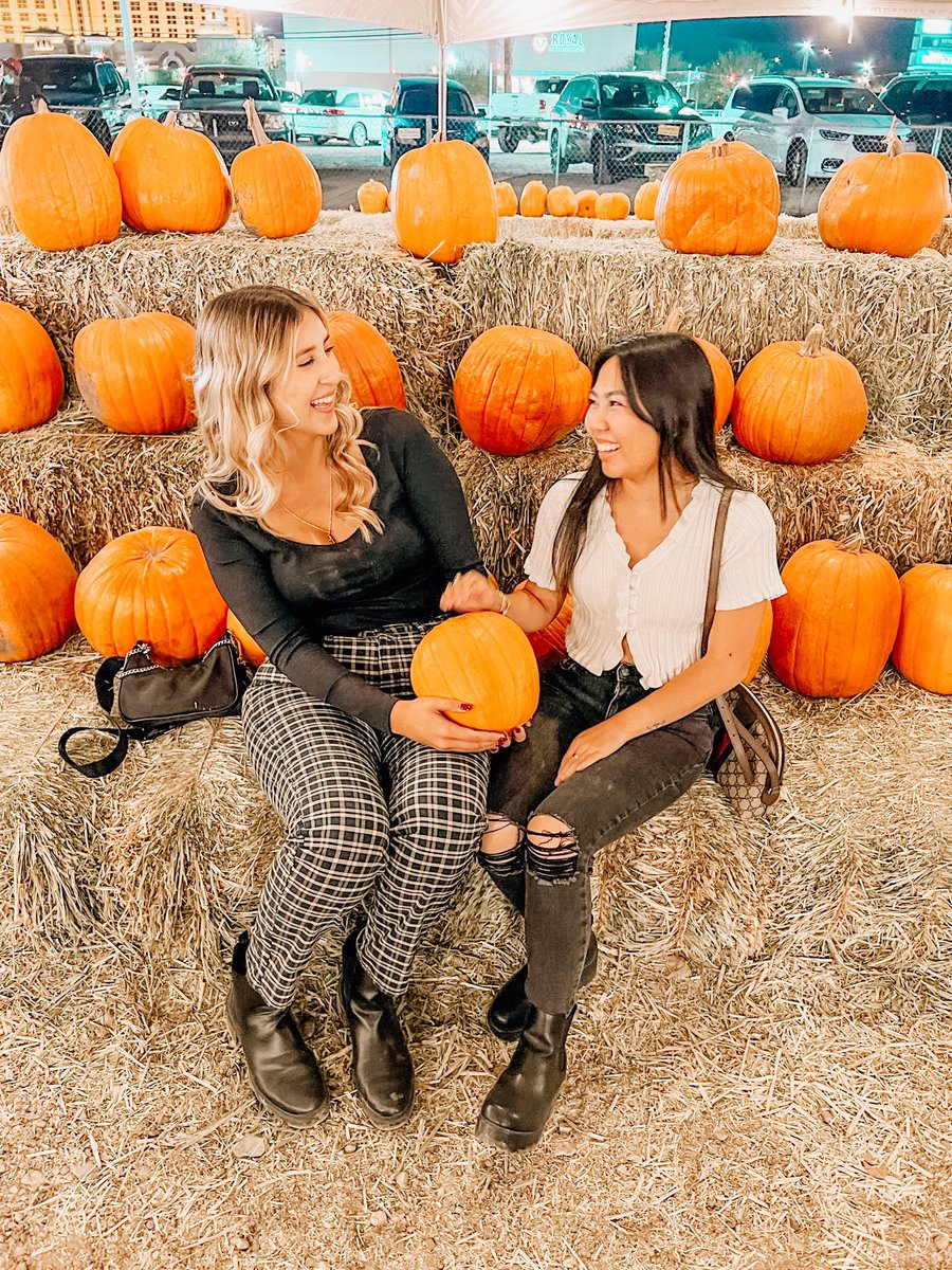 Alpha Delta Pi tweet media