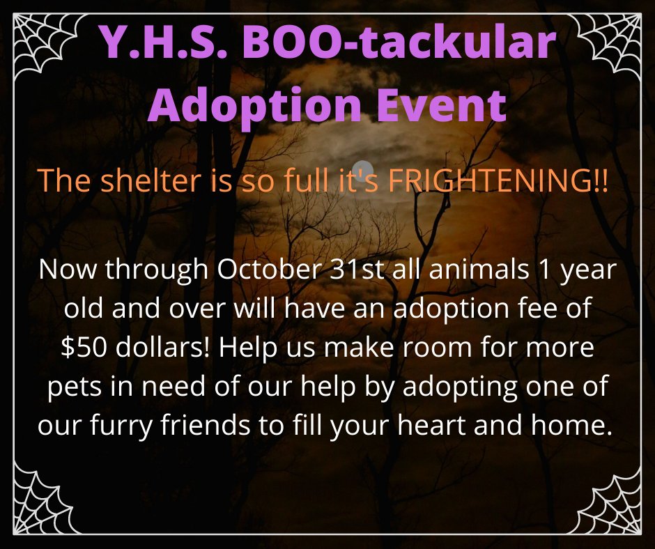 YakHumane's tweet photo. https://t.co/ZWVxLadVsa