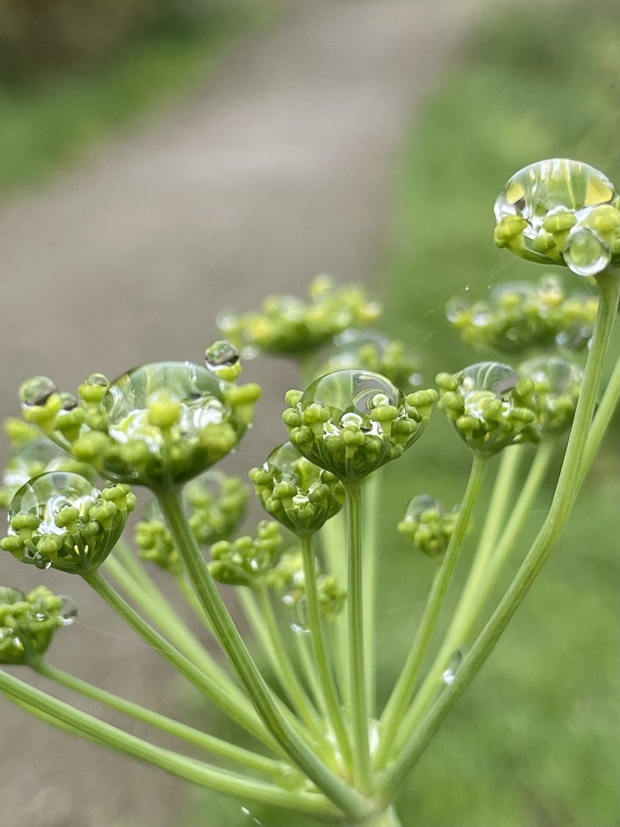 weiselisa's tweet image. Among all the wonders of the world…water is my favorite ❤️