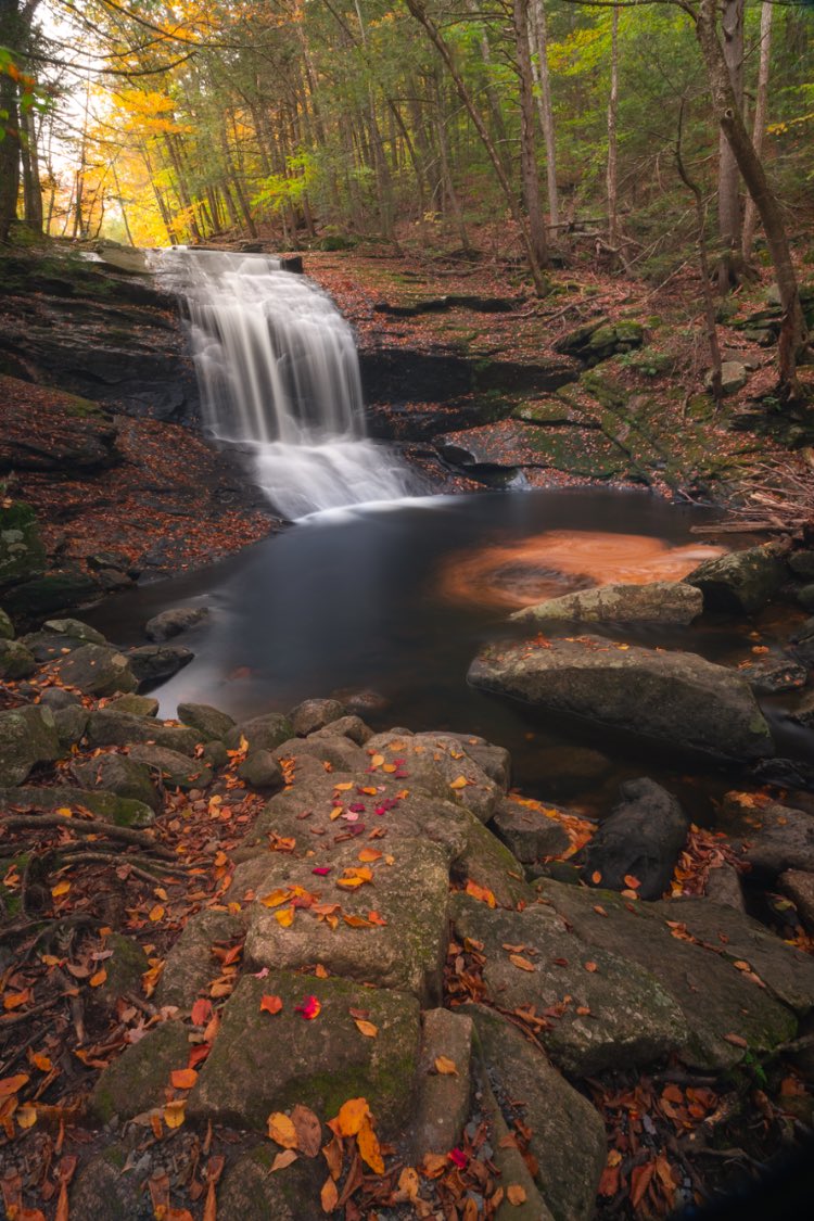 Ross Lippman tweet media