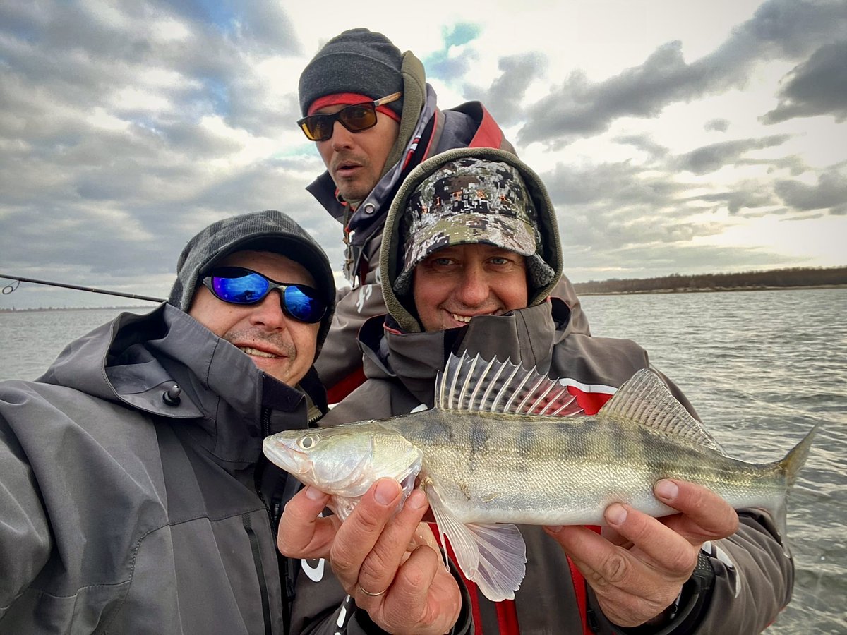 Захмелевший" судак. Масал судак. Судак рыба 20 кг. Зимний джиг. Судак работа вакансии.