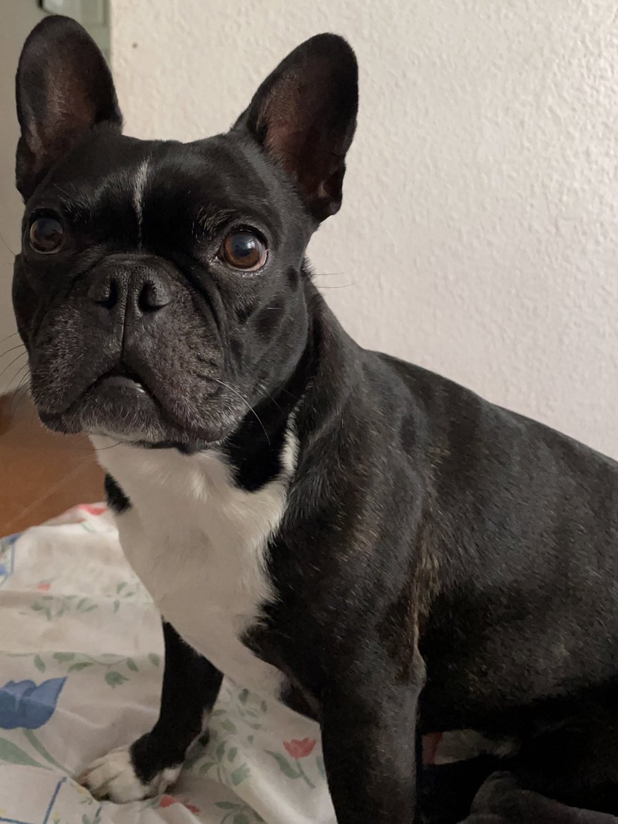 Freyre Crisanto (@freyrecrisanto) on Twitter photo 