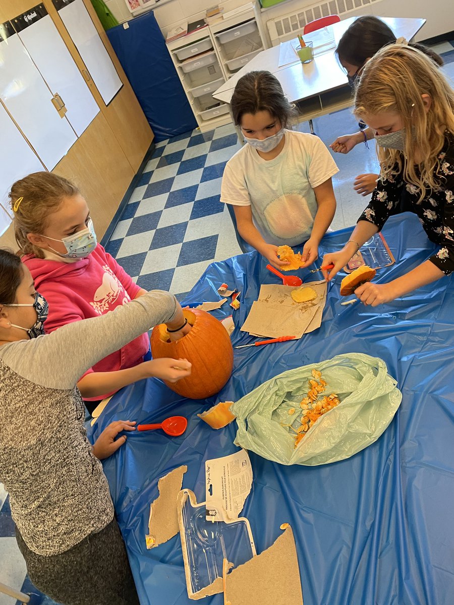 214Frimm's tweet photo. Teamwork, problem solving, measurement, and scientific observation skills are in full swing as we cut into our pumpkins this afternoon. More to come as we decorate and carve after our investigation. @AllenbyPS_TDSB #SpookyScience #ThisIsMath #tdsb https://t.co/R5ttTfNf88