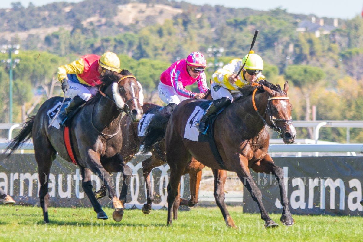Riocorvo vuelve a pasar por ganadores junto a <a href="/BorjaFayos/">Borja Fayos</a> dejandonos una preciosa llegada frente a Eminence y Sir Roque. Siempre es un gusto ver al caballo de  <a href="/Remolina_A/">Alberto Remolina</a>