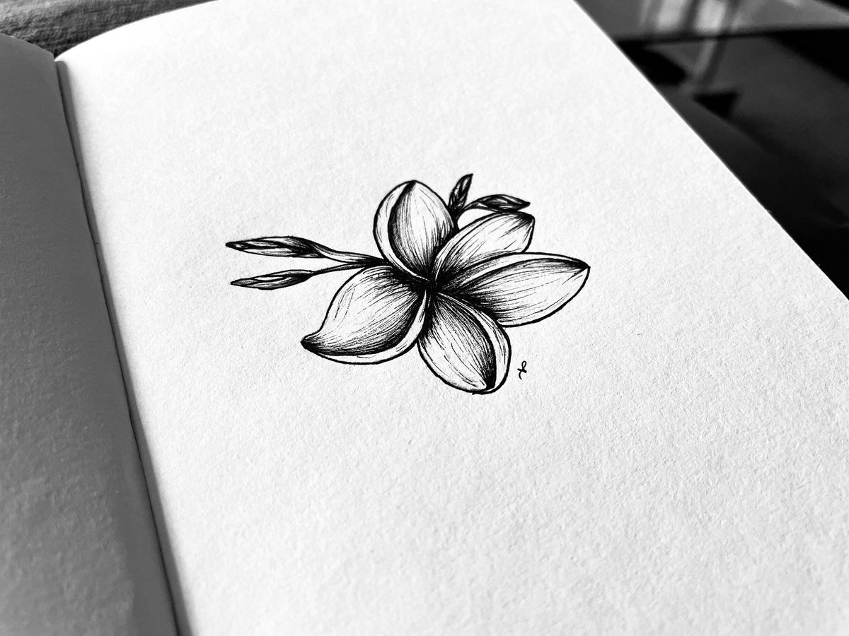Rory_Clancy's tweet photo. Inktober 2021
Flower Prompt: Frangipani
•
This flower was by far the easiest this month. It took me just 15 minutes to finish the pencil layer … and that concerned me a bit. https://t.co/oEJLN4EFhV