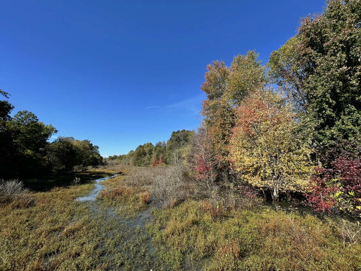 CamHopmanWx's tweet photo. It’s been an absolutely perfect day for a hike at #AngelMounds. We’re finally starting to see some of those fall colors! #tristatewx https://t.co/KwvHFdp8lO