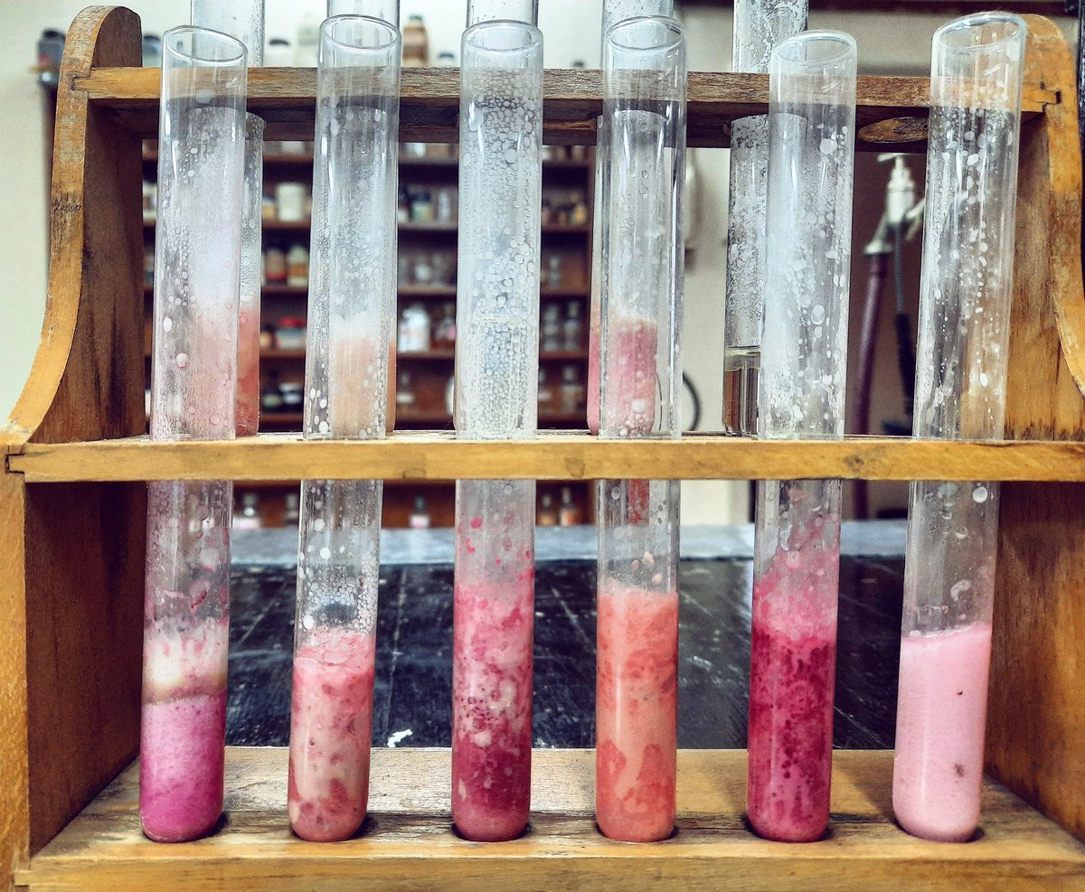 OpsenicaLab's tweet photo. #orgchem #opsenicalab #reaction #lookatthatblue #chemistry #organic #science #laboratory #organicchemistry #opsenica #realtimechem #lookatthatpink #hotpink #serbianscience #universityofbelgrade #facultyofchemistry #compound #polymer #pink https://t.co/HuIsObXXX9