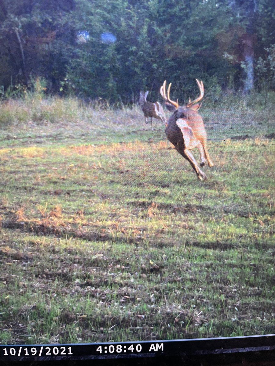 soonerbrace's tweet photo. @AverageHunter Southeast Kansas.  Date correct, time wrong. https://t.co/7L4dntz8EH