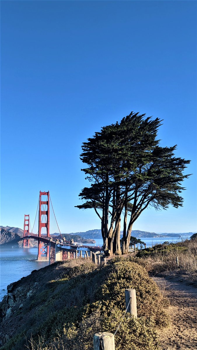 psychedelic_ETH's tweet photo. Explore the world. Travel to new planets & stars
@ParasHQ @NFTBUZZ_ETH
_
https://t.co/RXnSGnypvu
_
#nfts #nft #NFTartist #nftcollector #nftcommunity #nftfamily #cryptoart #psychedelicart #sanfrancisco $NEAR #ethereum #PARAS #tryshowtime #PsychedelicNFT #psychedeliceth https://t.co/owW8xIZDcY