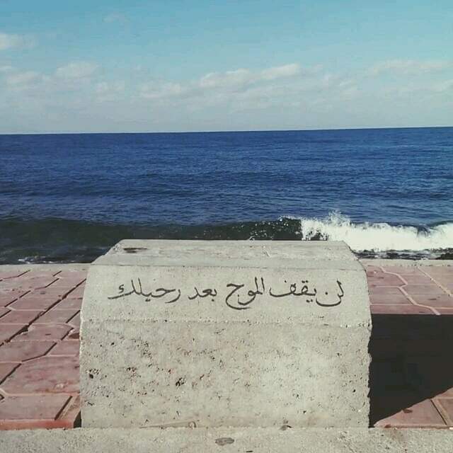 Amrpanda8's tweet photo. فعلا😊 https://t.co/G78Lj3SKiw
