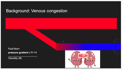 Our <a href="/OHSUSOM/">OHSU School of Medicine</a> #IMpocus Gen Med #POCUS fellows crack me up. These slides by <a href="/POCUSaurusDx/">P Musgrave</a> for #VExUS paper discussion (bit.ly/VExUS2020) in image review were AMAZING. Paul, <a href="/AlwaysSilverMD/">Aaron Silver</a> &amp; @medpedspocus keep upping the ante every week! 1/2