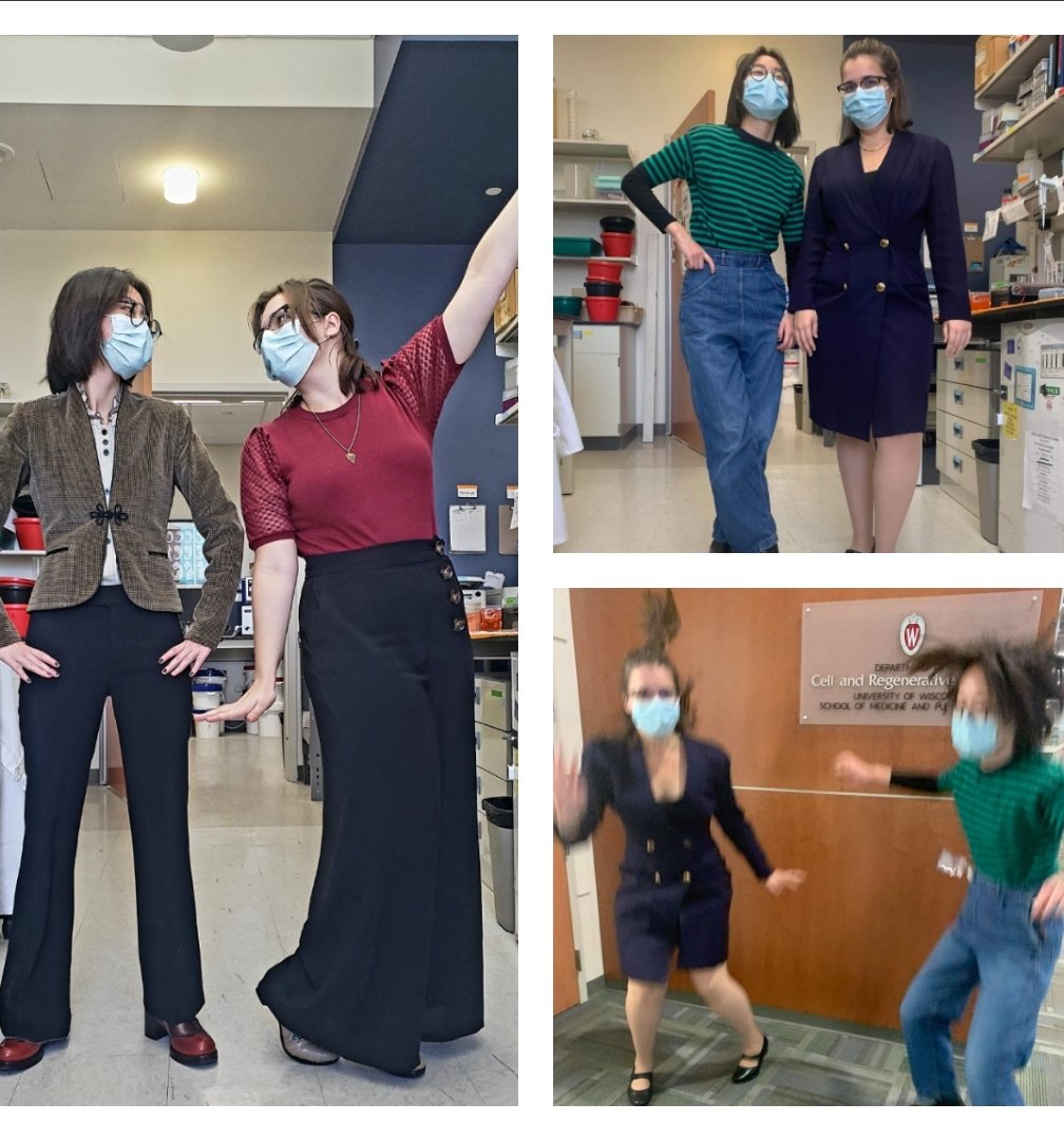 Dr. Kat Hubert tweet media