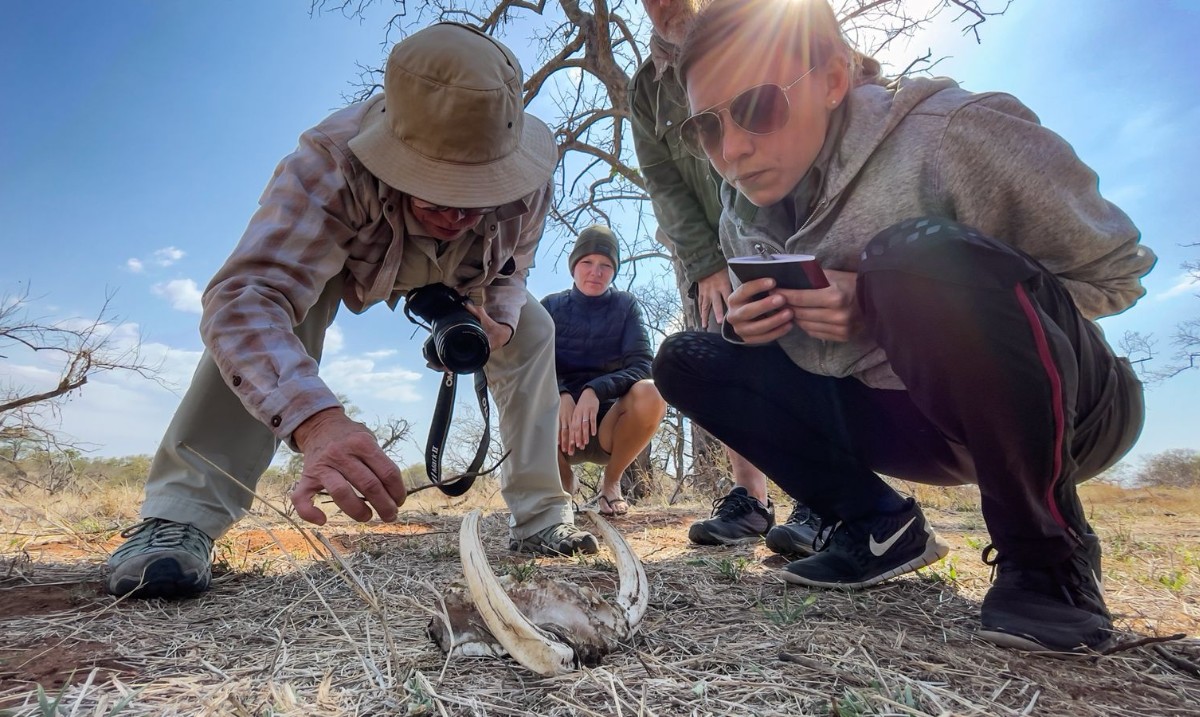 EcoTraining's tweet photo. Current #EcoTraining #FieldGuide 35-day practical students at #Pridelands looking at a warthog skull. ๐ท @tay_mccurdyโ
Learn more about the #EcoTraining #FieldGuide 35-day Practical Course here: https://t.co/6b3W9vh7CD
#FGASA #CATHSSETA #FieldGuidecourse #nature #warthogskull https://t.co/5MWQTaCQSD
