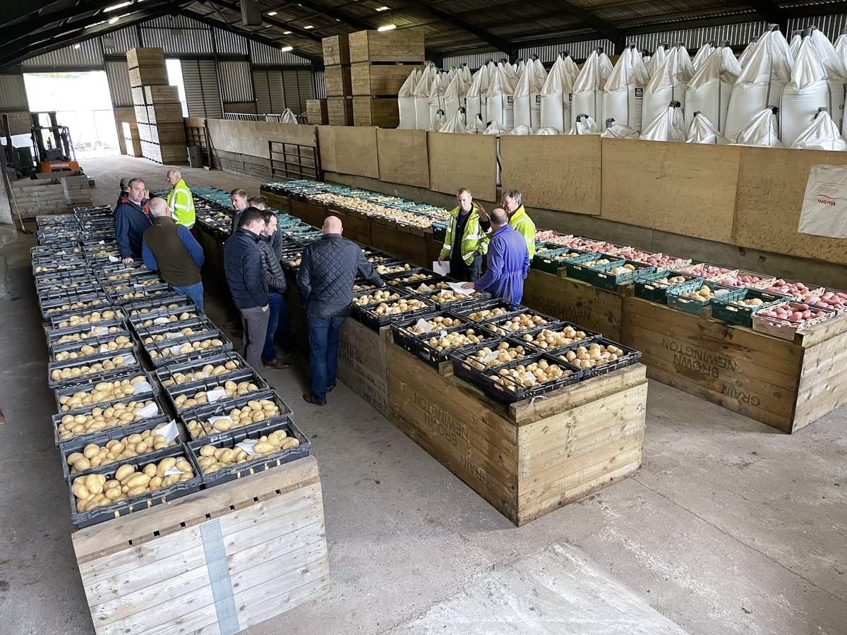 First wash up of 21/22 Season for our Coop. quality, like yield, a notch down on last season. Given the cold, wet May, then the hot dry summer we had, it’s hardly a surprise.