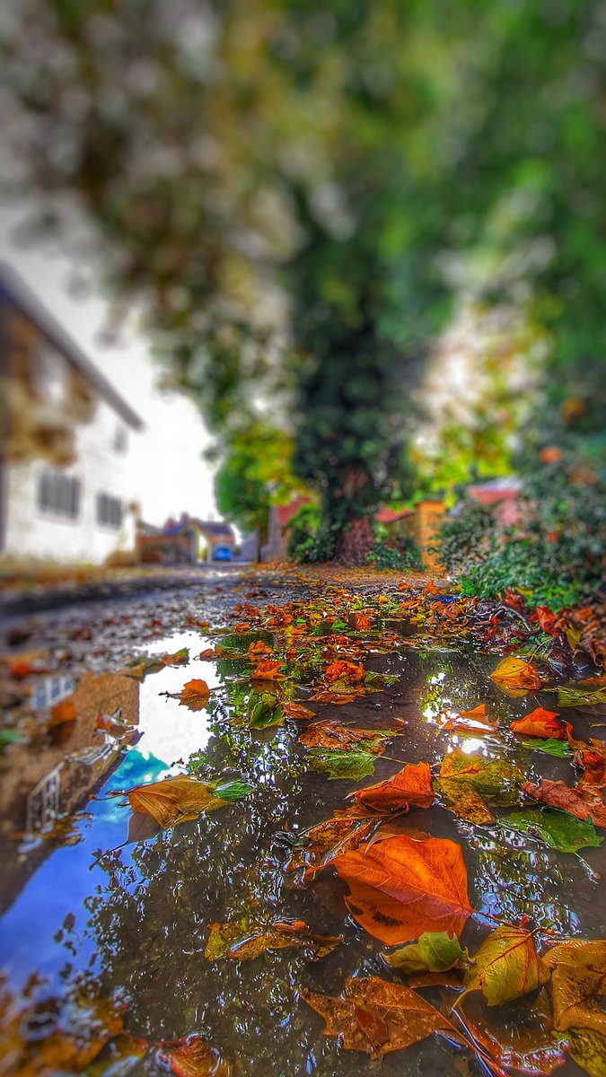 TheBossnME's tweet photo. Working during Autumn...
#workphotos https://t.co/LaiOHNFUMW