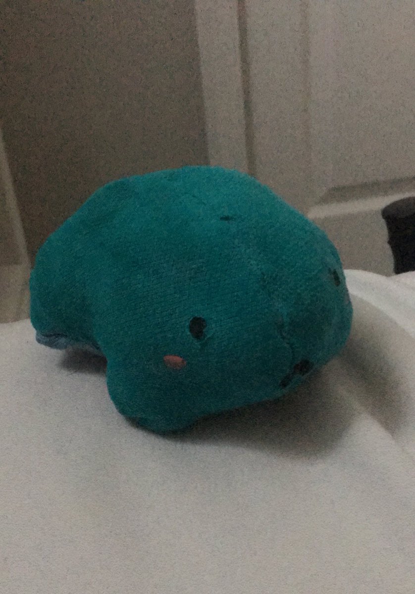 gm_zeke's tweet photo. his name is poncho https://t.co/joS9azCbR6