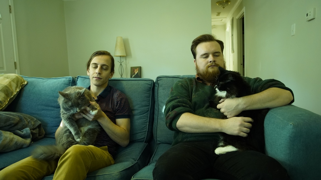 Having a contemplative moment with the cattos. Drop those funny pet stories, stat! #meow