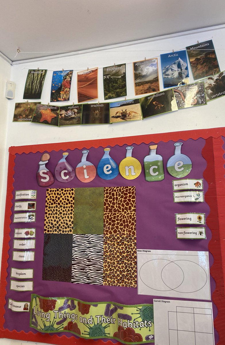 so happy with these displays in my classroom!