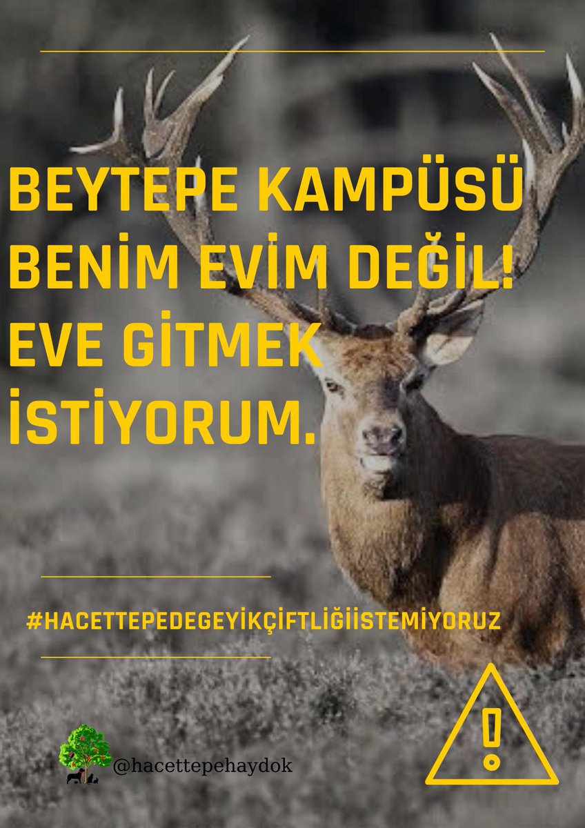 Birkaç hafta önce sizlerle yüzeysel bir şekilde paylaştığımız geyiklerle ilgili konunun tüm detaylarını bu yazımızda paylaşacağız.

Lütfen flood’u okuyunuz. 

#HACETTEPEDEGEYİKCİFTLİGİİSTEMİYORUZ