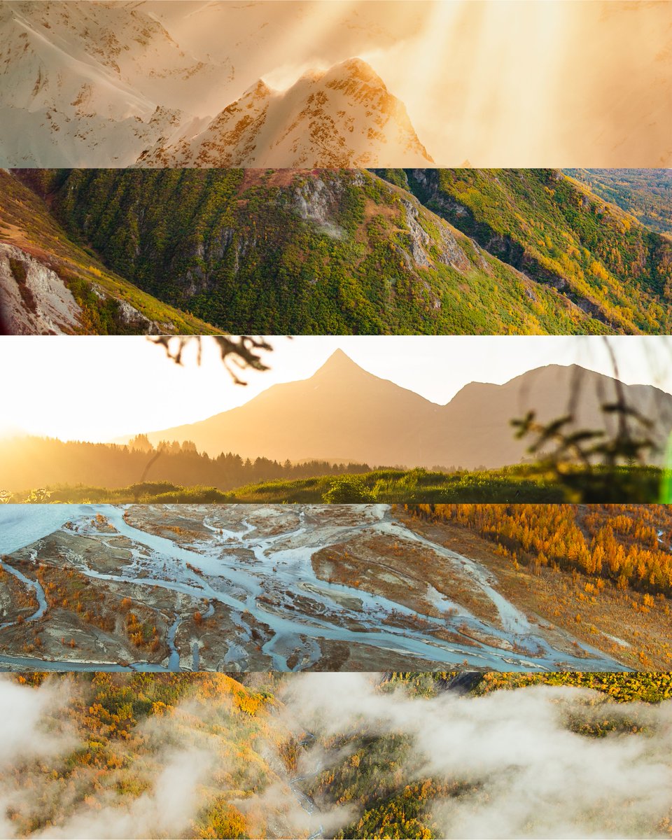 alaska in shades of gold✨
