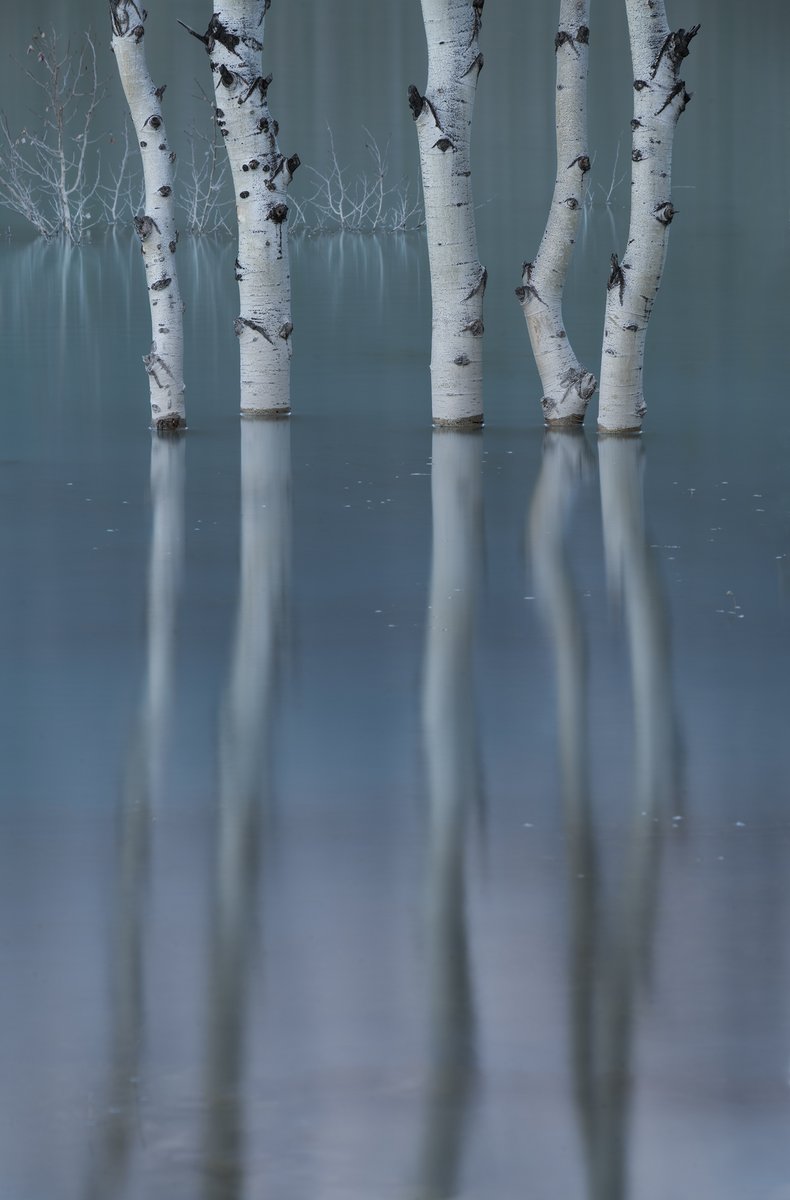 LEEFilters's tweet image. ⁣@ViktoriaHaack @Kenmore_Camera
Light, Land &amp;amp; the Human Element ⁣
 NOV 6 · 11am PT ⁣· RSVP: bit.ly/3mVHYzy⁣
⁣
The dancers⁣
📍 #Canadian Rockies⁣
📷  @NikonCanada Z7⁣
⭕ Nikkor 24-200 f4-6.3 @ 200mm⁣
⬛ #LEEFilters #6stop #ND #Filter
🔗 bit.ly/2LgYNFW
