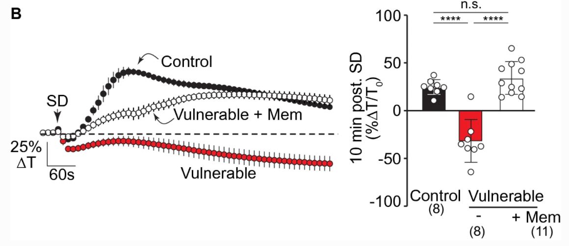 NeurocritCareJ's tweet image. Reinhart et al: Memantine Improves Recovery After Spreading Depolarization in Brain Slices and can be Considered for Future Clinical Trials

Link: ow.ly/kR6v50GzhmX

#Neurocritical @neurocritical
