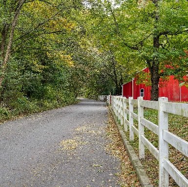 Looking for a hike close to home? Come up to Van Cortlandt Park on Saturday 10/30 to explore some of the beautiful trails.  We'll explore parts of the Old Croton Aqueduct tail, and the Old Putnam trail.  ow.ly/eZ9C50GyG1s