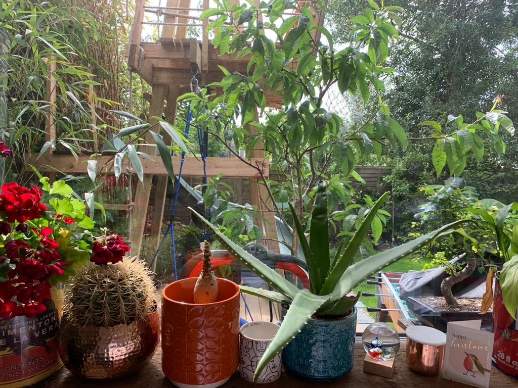 When inspiration strikes! This is the desk of our Creative Director Rachel, where our new designs become concepts. How lovely. 🌿💖