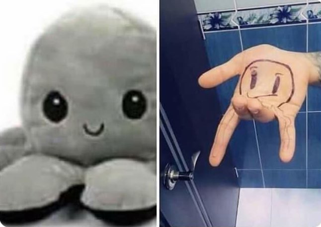 soypulpito's tweet photo. El pulpo que quiere / el que le voy a dar https://t.co/qvSHtE9VVa