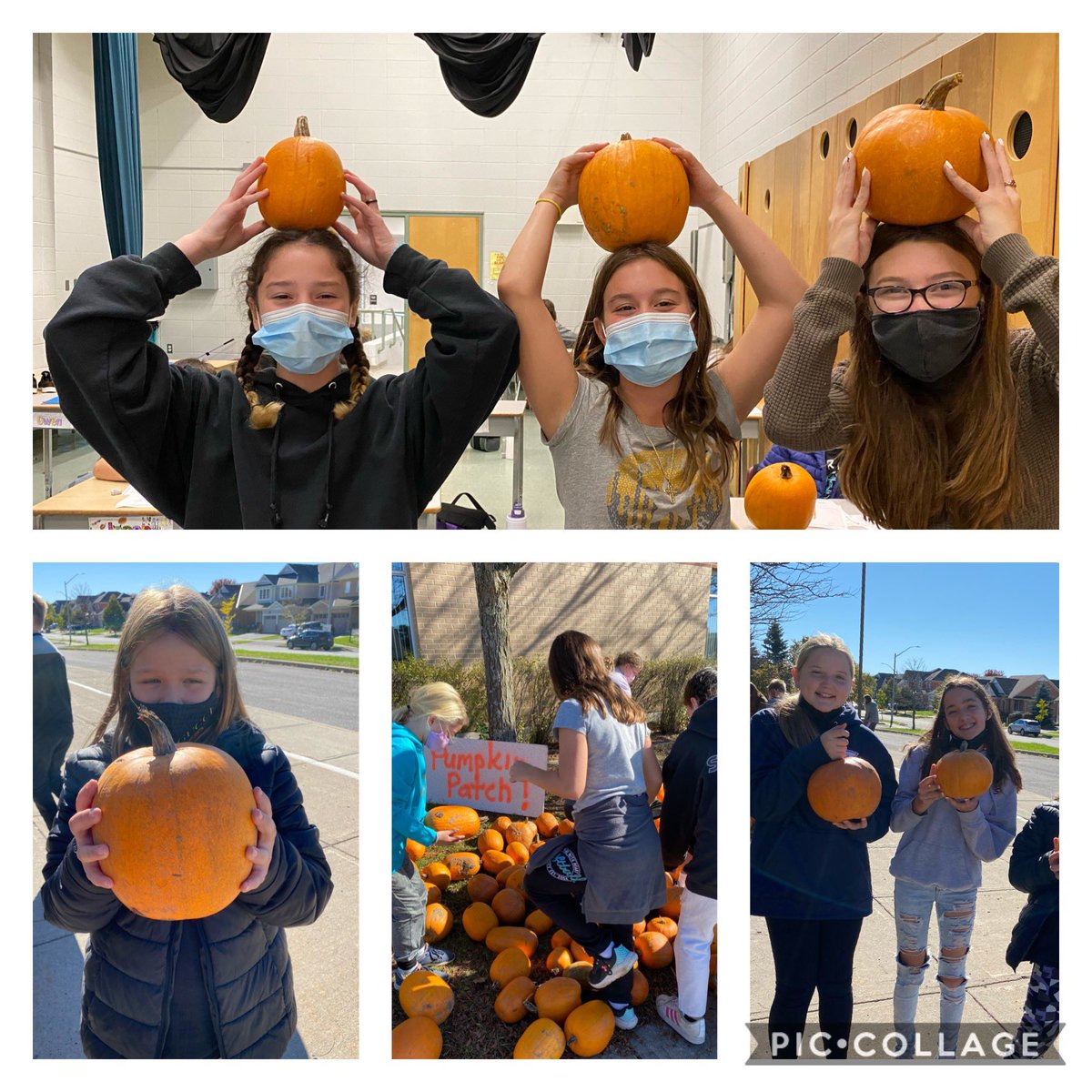 Thank you for the pumpkins, Mr. Beltrano! <a href="/GoodShepherd_CS/">Good Shepherd CS</a>