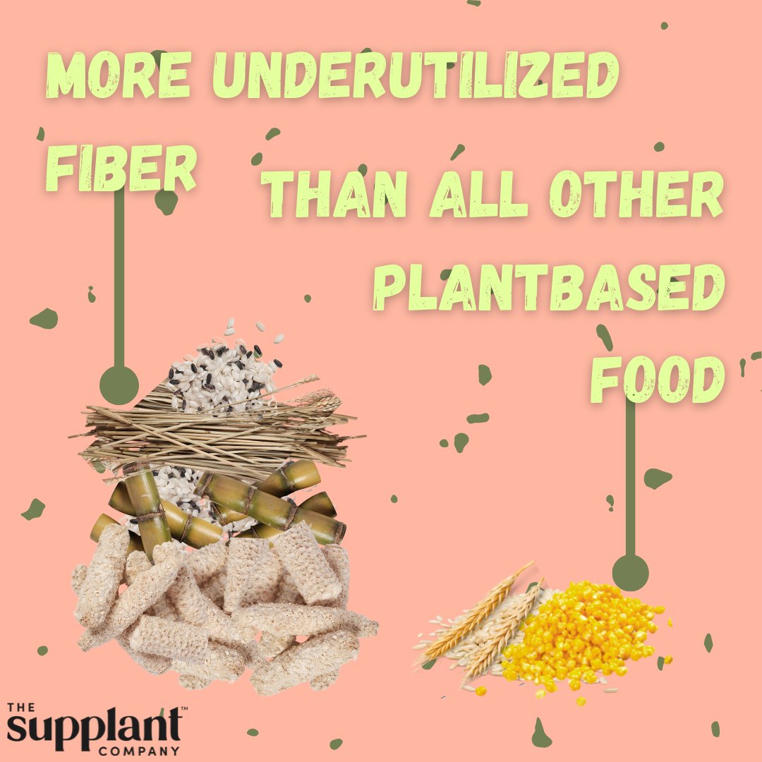 For every grain of rice we eat, more than the equivalent amount of fiber goes to waste. The same goes for other crops too. In fact, there's more underutilized #fiber wasted by the agricultural industry than the total amount of plantbased food in the world.
We're here to end this.