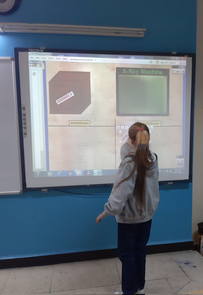 MiraElZarif's tweet photo. Grade 4 scientists classified the animals according to the presence or absence of their backbone. #vertebrates #invertebrates #classifyinganimals #science #grade4 #activeinspire #ngss @MakAishaSchool @NElakhdar https://t.co/amBoVaGQCE