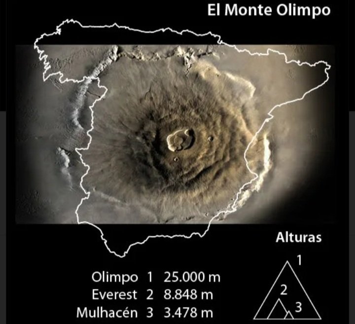 Natalia Vartan tweet media