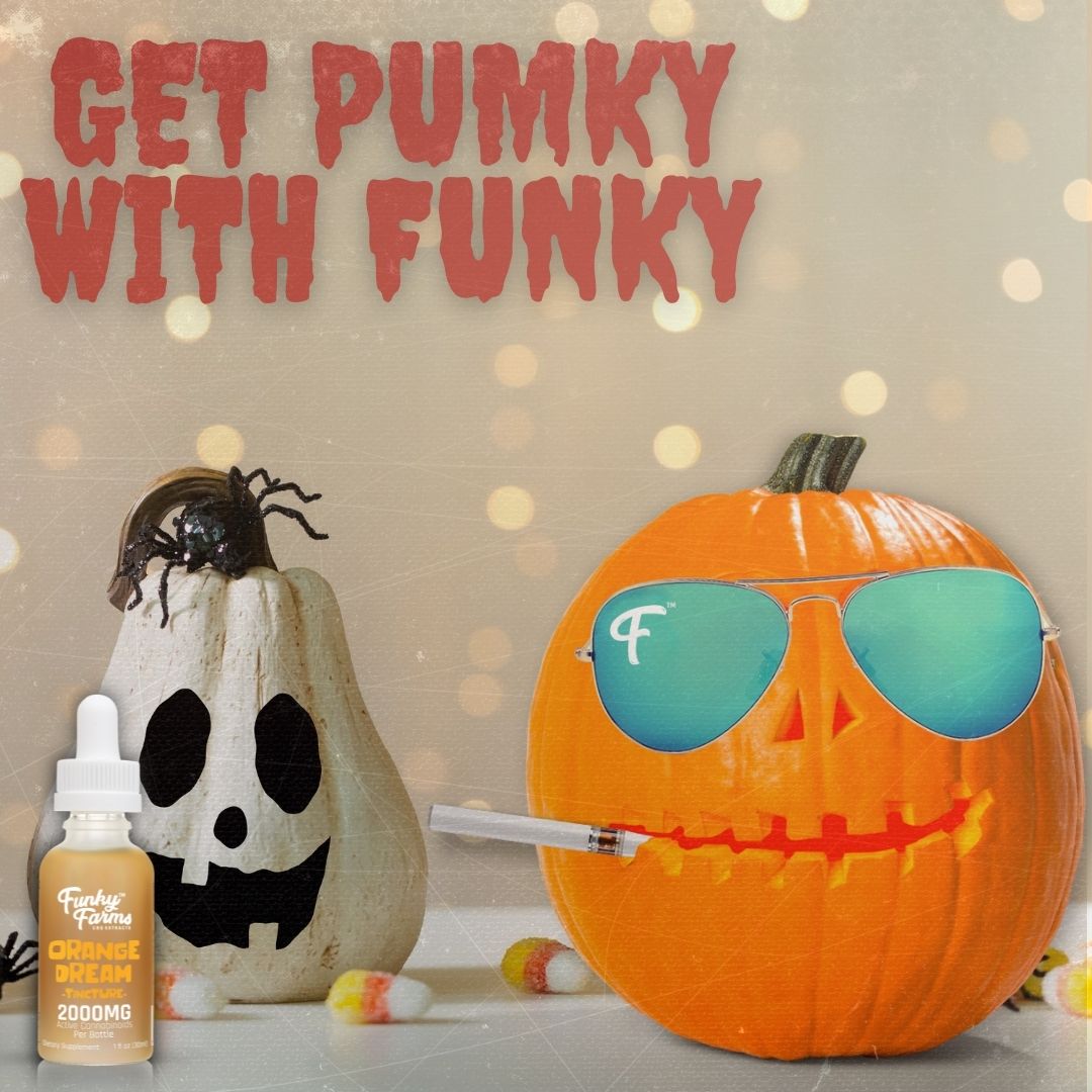 Hello Halloweenies 😝 Did you get your treat yet?  Get a FREE Orange Dream 1000mg Tincture with purchase over $100. 
~🎃~Just add to cart &amp; use code TREAT~🎃~
.
#funky #halloween #pumpkin #trickortreat #free #giftwithpurchase #freegift #cbd #hemp #freetreat #costume #pumpkinhead