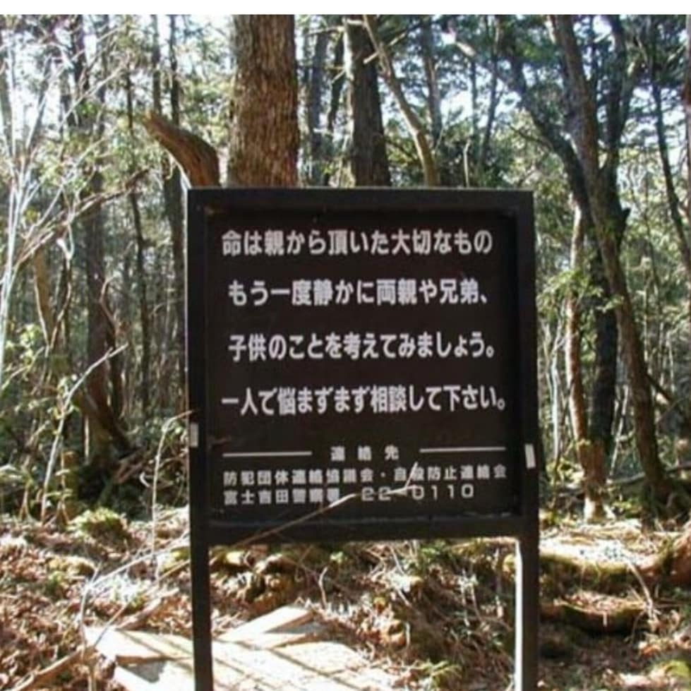 The Crime Diner Podcast (Prev. WDST) 🏳️🌈 tweet media