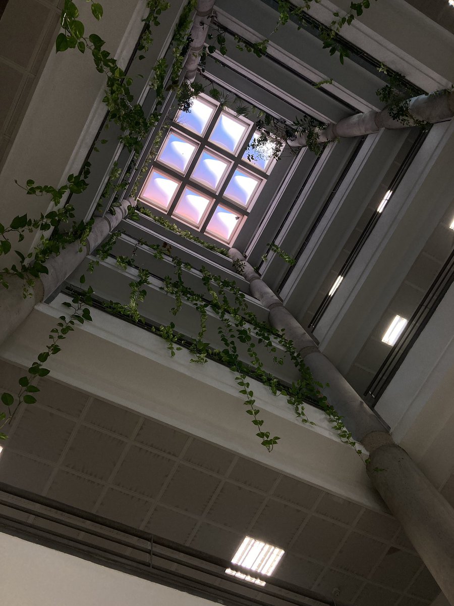 cansADA 🌞 tweet media