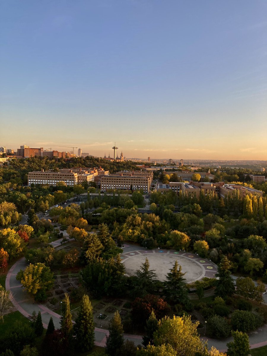 cansADA 🌞 tweet media