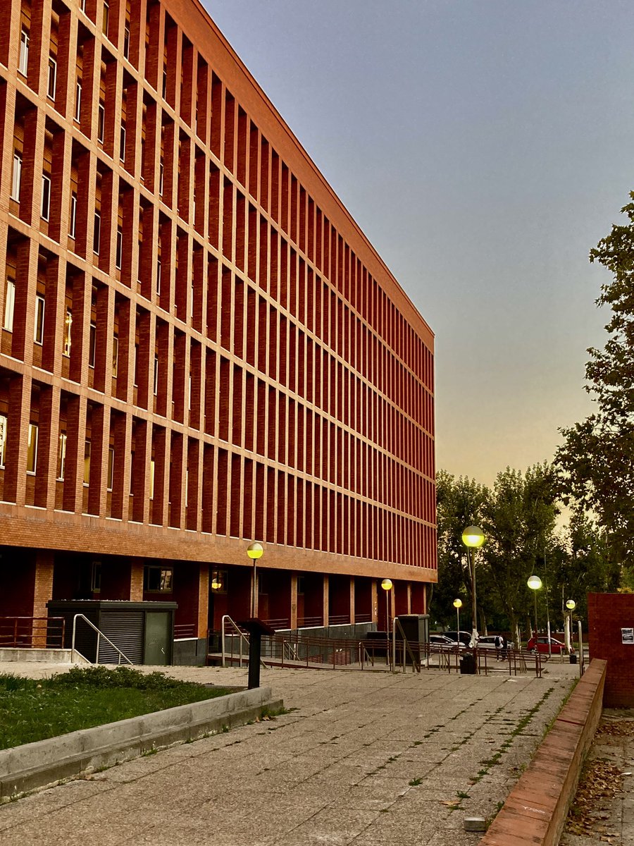 cansADA 🌞 tweet media